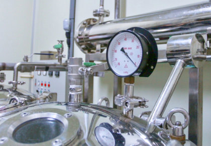 菌糸の消毒と植え付け