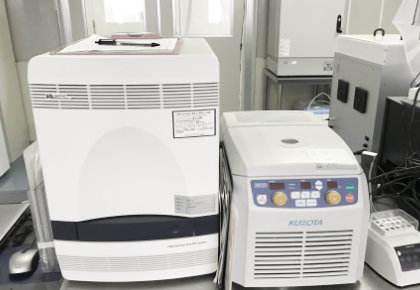 細胞の安全性試験